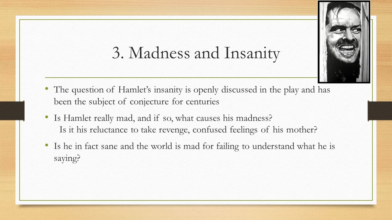 Questioning the madness of hamlet